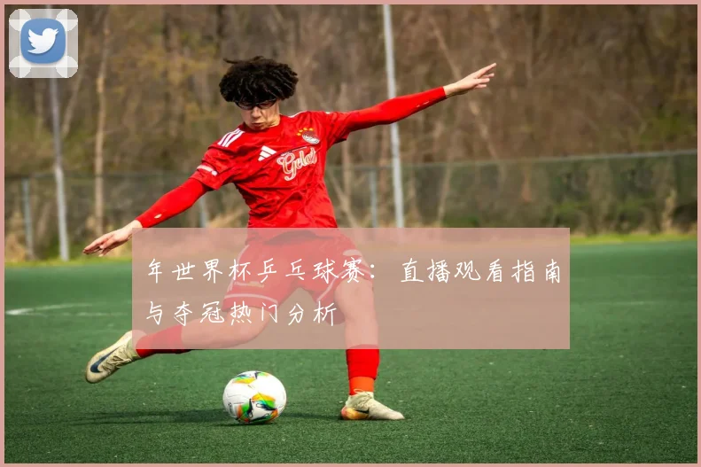 年世界杯乒乓球赛:直播观看指南与夺冠热门分析