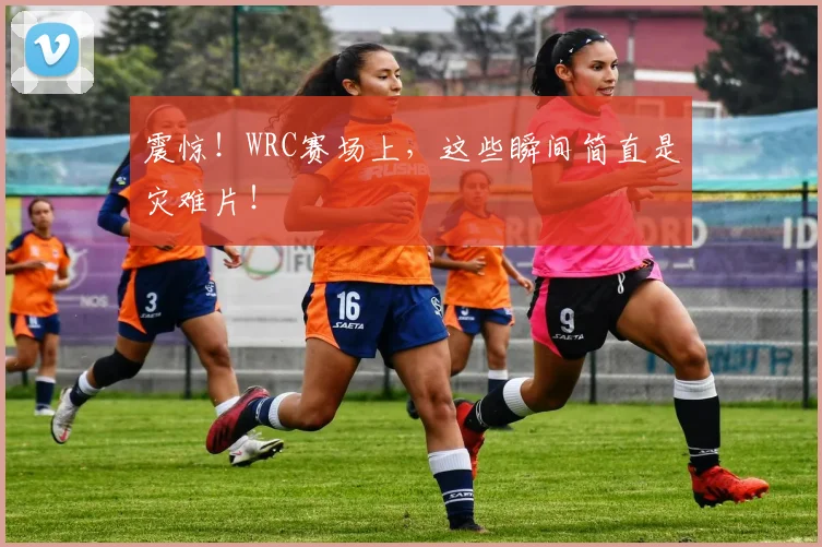 震惊！WRC赛场上，这些瞬间简直是灾难片！