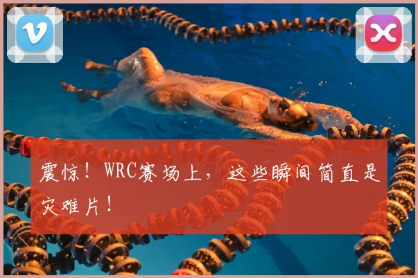 震惊！WRC赛场上，这些瞬间简直是灾难片！
